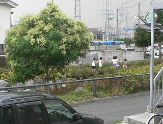 さかもと内科クリニック,川崎,井田,9月の医院周囲NO1